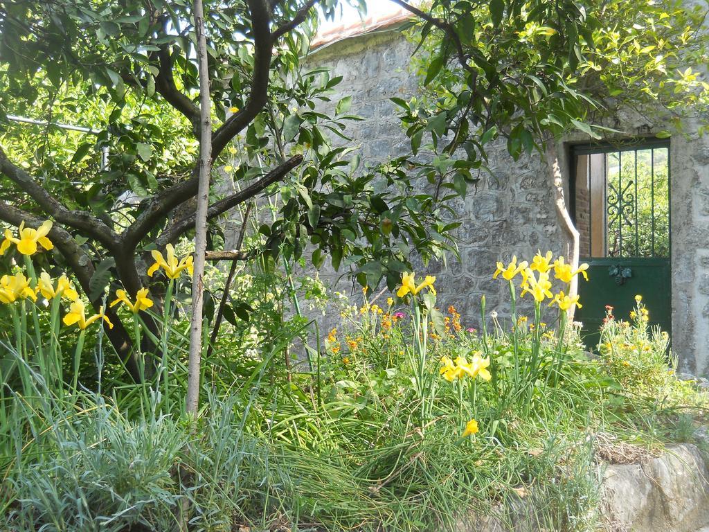 Apartments In Rustic House Risan Zewnętrze zdjęcie