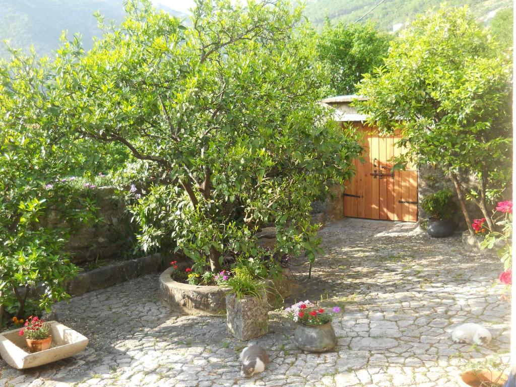 Apartments In Rustic House Risan Zewnętrze zdjęcie